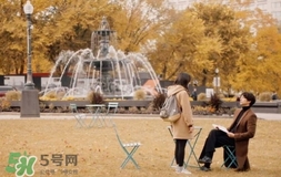 也許星星會帶走你的悲傷多少錢？也許星星會帶走你的悲傷價格