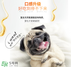 狗狗營(yíng)養(yǎng)膏什么牌子好？狗狗營(yíng)養(yǎng)膏多少錢(qián)？