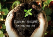 花肌粹護膚品怎么樣？花肌粹護膚品含激素嗎？