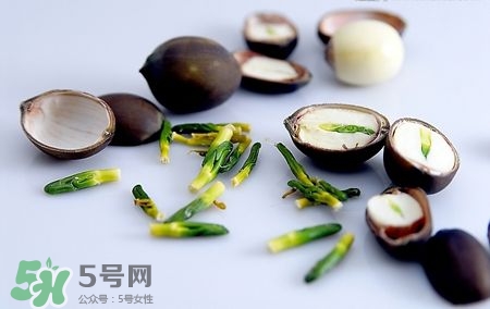蓮子心能降血壓?jiǎn)?降血壓的效果好嗎