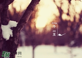 冬至要上墳嗎？冬至為什么要上墳？