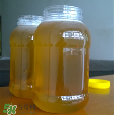 冬蜜好還是春蜜好？冬蜜和春蜜的區(qū)別