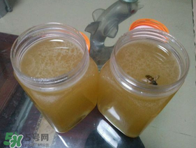 冬蜜多少錢(qián)一斤？冬蜜如何辨別真假？