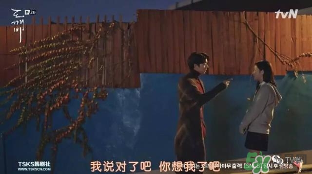 孔劉穿的什么衣服？孔劉衣服同款
