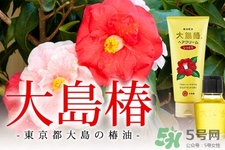 大島椿護發(fā)精油多少錢？大島椿護發(fā)精油日本價格