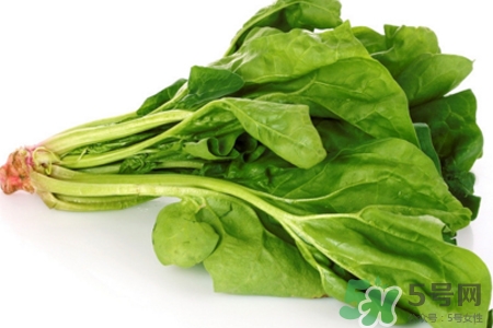 菠菜可以生吃嗎？菠菜能直接生吃嗎？