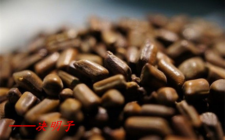 決明子泡水能每天長(zhǎng)期喝嗎 決明子泡水一次放多少