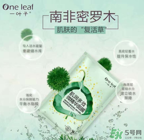 一葉子是哪個國家的？一葉子面膜是哪個國家的？