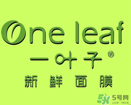 一葉子面膜會(huì)過敏嗎？一葉子面膜會(huì)不會(huì)過敏？