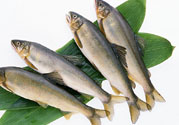 咽喉炎可以吃魚嗎？咽喉炎吃魚有什么好處？