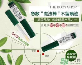 the body shop茶樹急救棒怎么用？美體小鋪茶樹祛痘急救棒用法