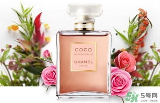 香奈兒黑coco香水和白coco香水哪個好？香奈兒黑可可和白可可選擇