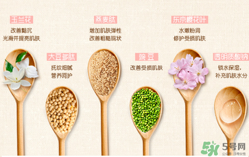 一葉子套裝怎么用？一葉子套裝使用說明