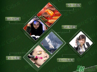 姬存希黃瓜膠多少錢？姬存希黃瓜膠價格