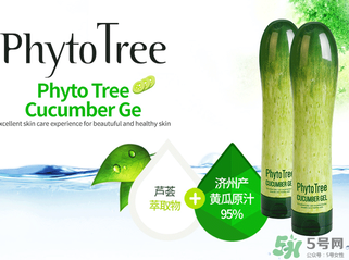 姬存希黃瓜膠多少錢？姬存希黃瓜膠價格