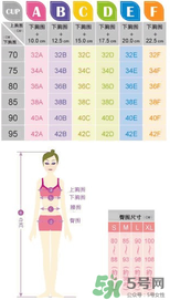 都市麗人內(nèi)衣怎么樣？都市麗人尺碼表
