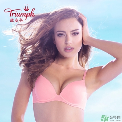 黛安芬內(nèi)衣怎么樣？黛安芬內(nèi)衣價格圖片