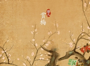 臘八節(jié)出生的女寶寶怎么取名？臘八節(jié)出生的男寶寶怎么取名？