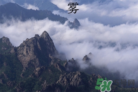 霧霾天吃什么菜清肺？霧霾天白色食物最清肺