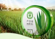 雅麗潔蘆薈膠多少錢？雅麗潔蘆薈膠好不好？
