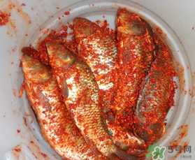 腌魚放多少鹽？腌魚放鹽的比例