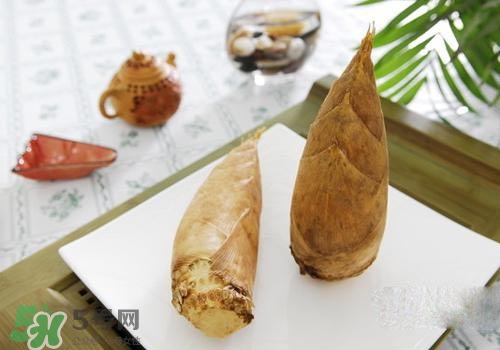 冬筍可以放冰箱嗎？冬筍放冰箱保存方法