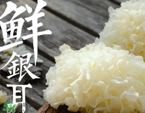 新鮮銀耳有毒嗎？新鮮銀耳怎么去毒？