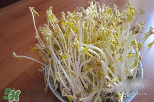 豆芽糖尿病可以吃嗎？糖尿病吃豆芽有什么好處？