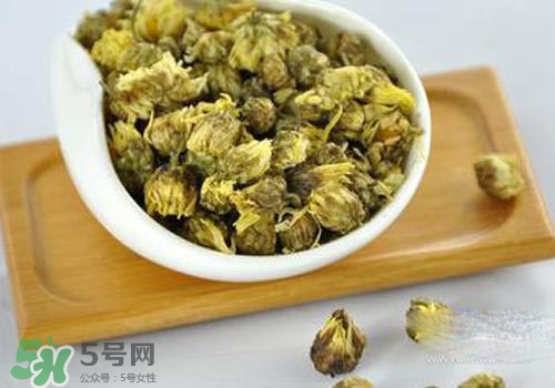 金銀花和菊花哪個(gè)去火效果好一些？金銀花和菊花茶哪個(gè)好？