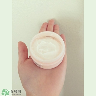 the body shop維e晚霜怎么用？美體小鋪維e晚霜使用方法