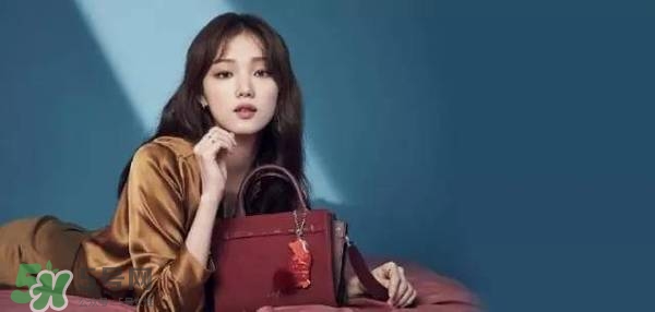 李圣經(jīng)的包包什么牌子？李圣經(jīng)包包同款