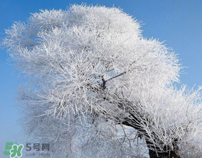 2017年第一場雪什么時候？2017年什么時候下雪？
