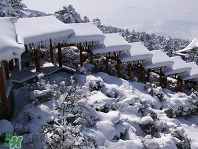 2017年第一場雪什么時候？2017年什么時候下雪？
