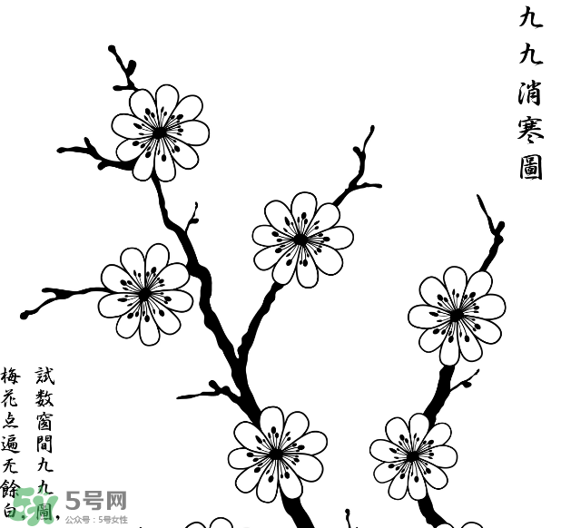 數(shù)九天什么時(shí)候最冷？數(shù)九天幾九最冷？