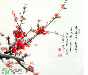 數(shù)九天什么時(shí)候最冷？數(shù)九天幾九最冷？