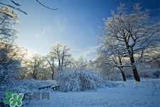 2017年過年天氣怎么樣？2017過年會下雨嗎？