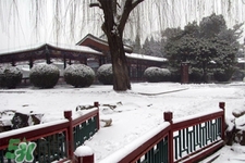 2017年過年會下雪嗎？2017年過年天氣情況