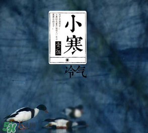 小寒和大寒哪個冷？小寒大寒什么意思？
