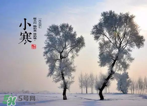 小寒和大寒哪個冷？小寒大寒什么意思？