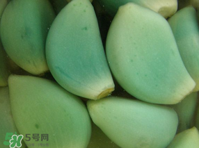 臘八醋里的蒜能吃嗎？臘八醋里的蒜好吃嗎？