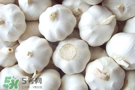2017過年大蒜會(huì)漲價(jià)嗎？2017年春節(jié)大蒜價(jià)格預(yù)測(cè)