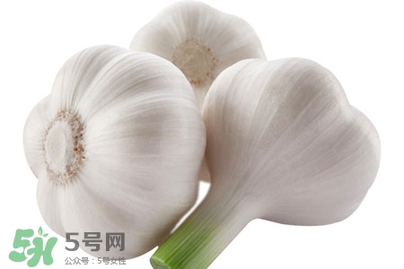 2017過年大蒜會(huì)漲價(jià)嗎？2017年春節(jié)大蒜價(jià)格預(yù)測(cè)