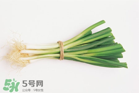2017過年大蔥會(huì)漲價(jià)嗎？2017年春節(jié)大蔥價(jià)格預(yù)測
