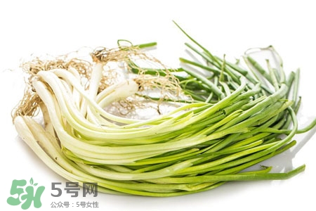 2017過年小蔥會漲價嗎？2017年春節(jié)小蔥價格預測