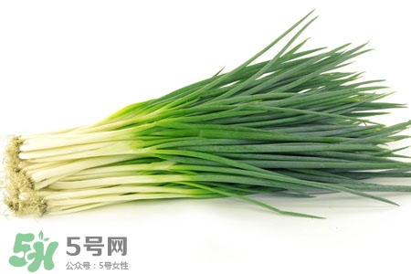 2017過年小蔥會漲價嗎？2017年春節(jié)小蔥價格預測
