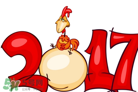過年在家干什么？過年每天都干什么？