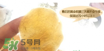 shangpree香蒲麗黃金面膜怎么樣？好用嗎？