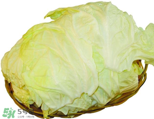 白菜發(fā)苦能吃嗎？大白菜發(fā)苦是什么原因？