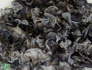 干木耳泡多久可以吃？干木耳泡了兩天還能吃嗎？