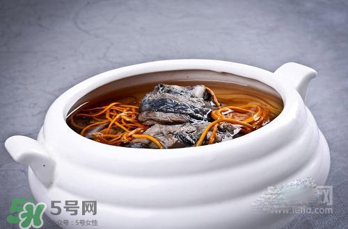 蟲(chóng)草花怎么吃？蟲(chóng)草花的吃法用量